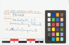 Foto von Bronzehenkelattasche (NHMW-PRAE-078068)